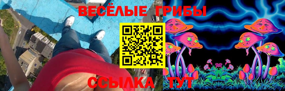 Псилоцибиновые грибы прущие грибы Кузнецк