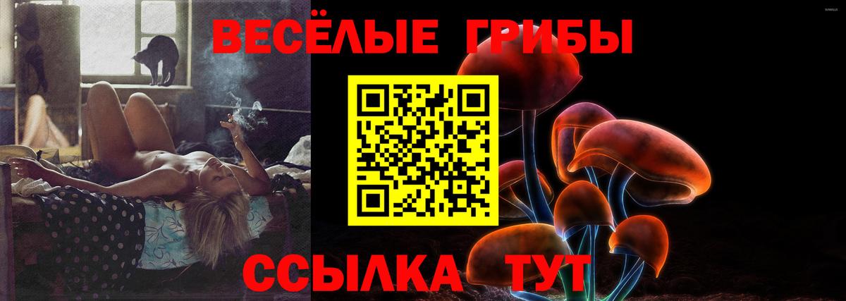 Кузнецк  Галлюциногенные грибы MAGIC MUSHROOMS  Вход с VPN 